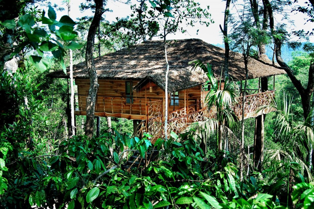 The Canopy Rainforest Treehouses 1