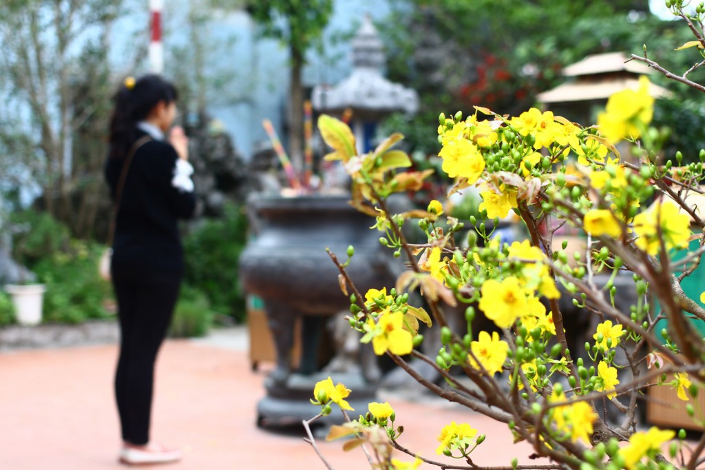 16393743059_f308659e31_h