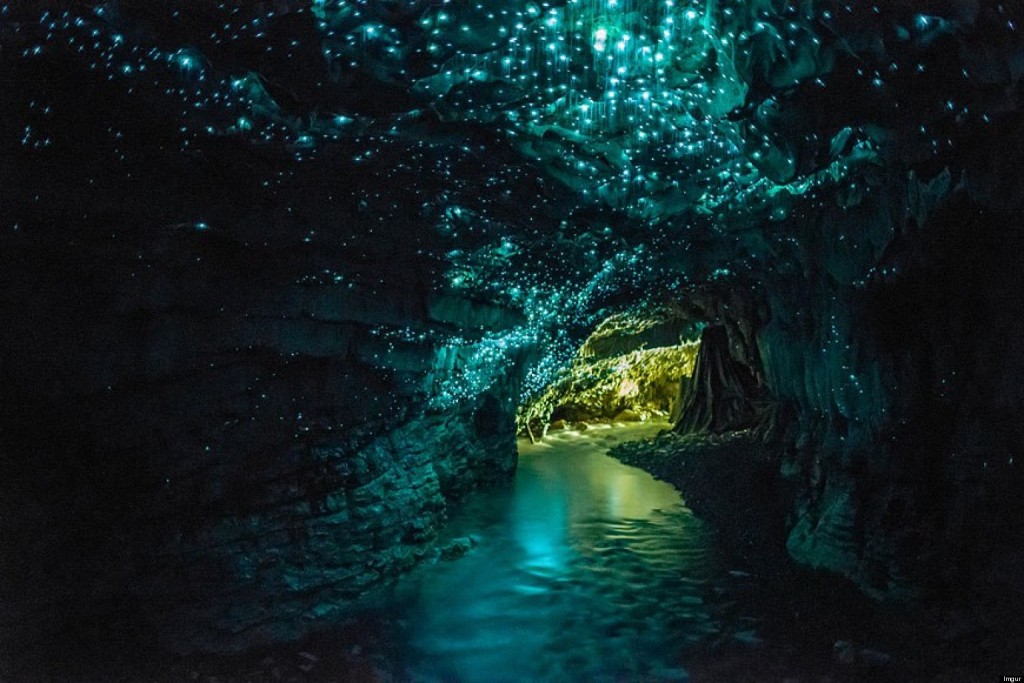 Waitomo, New Zealand
